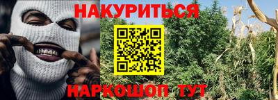 спайс Баксан