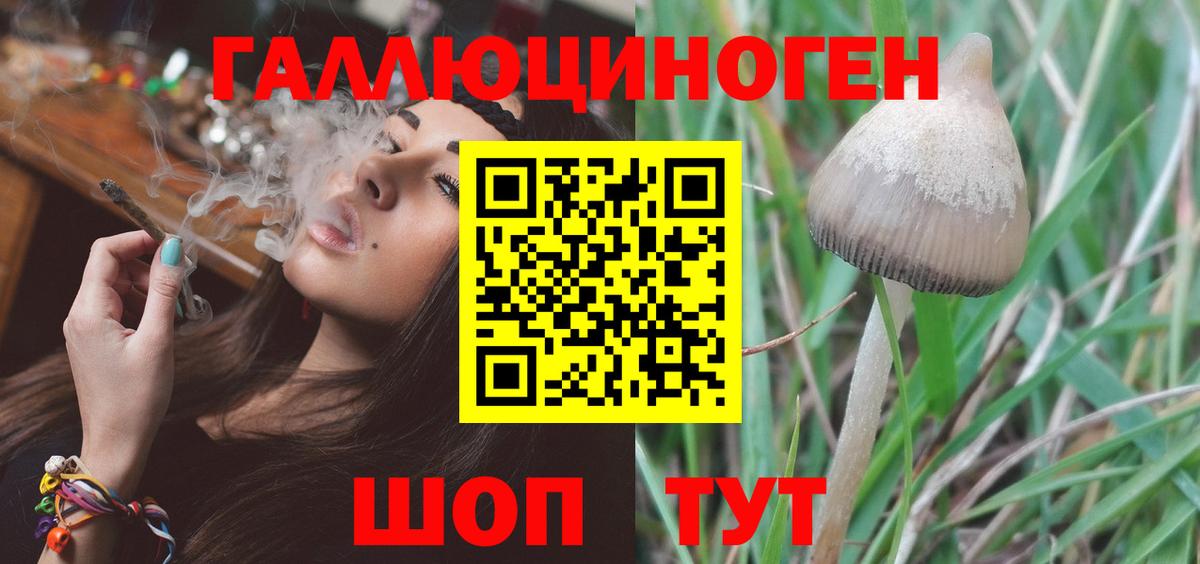 Галлюциногенные грибы мицелий  Вход с VPN  Выкса 